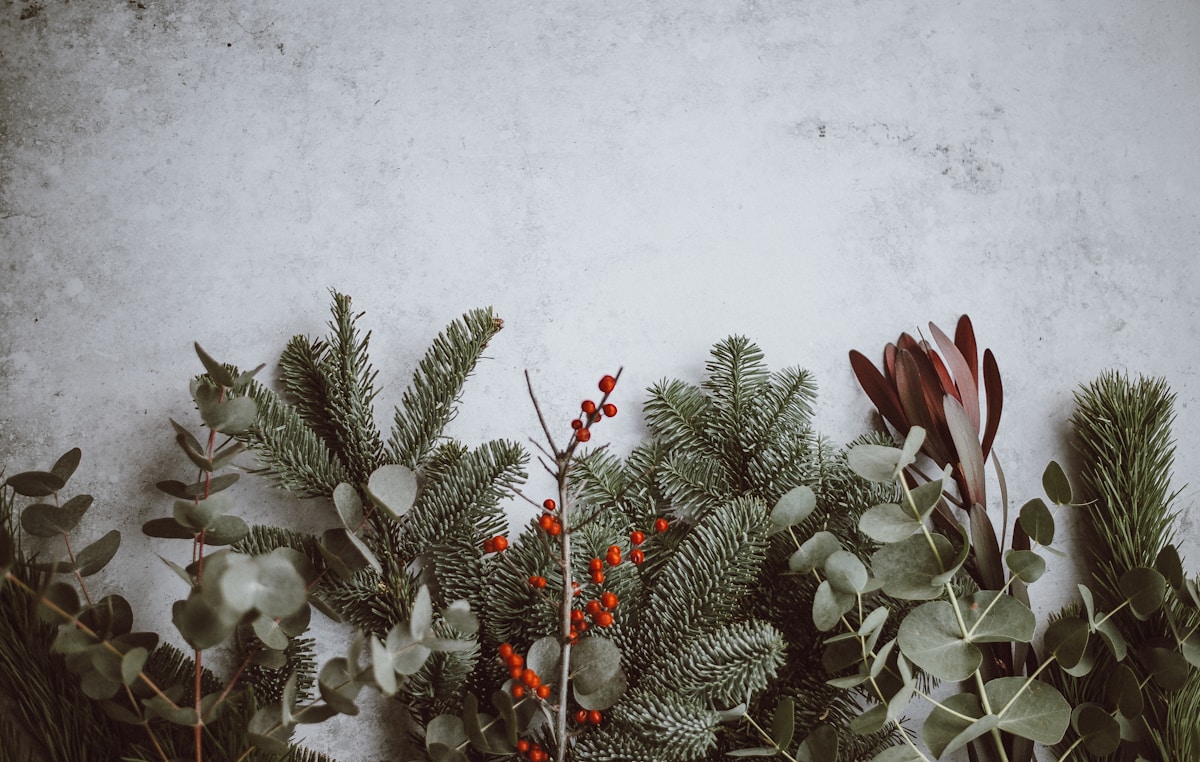 Google Business Profile Holiday Features: Hours, Offers, and More for 2025